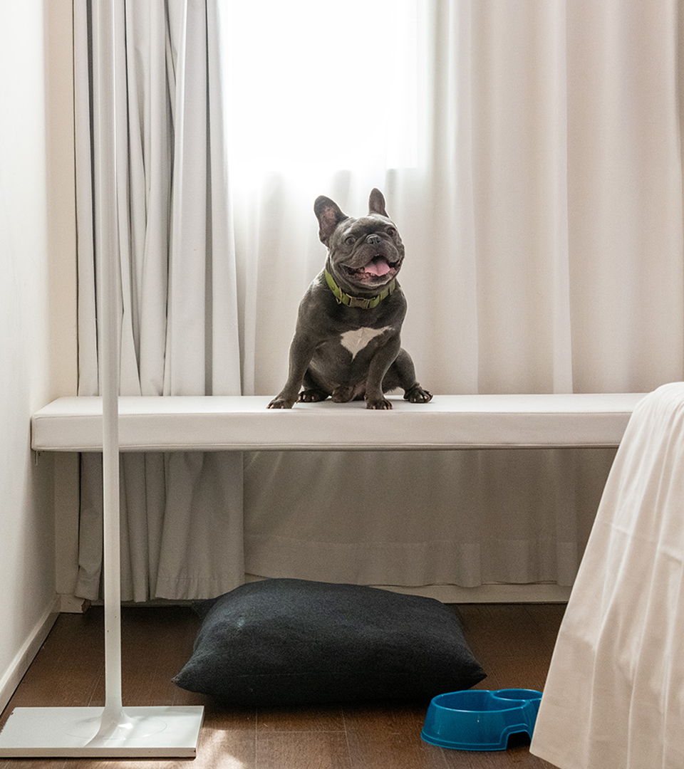 Ospite sorridente si rilassa sul letto con il suo cane in una camera pet-friendly